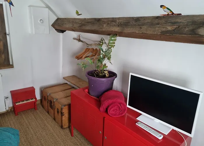 Chez Damdam Et Titi *